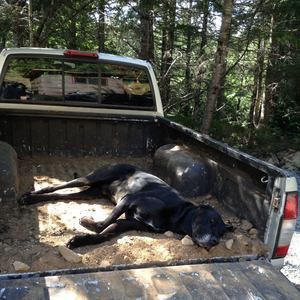 Meet your Posher, Dave